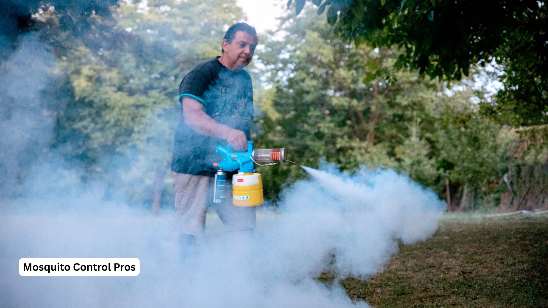 Professional larviciding treatment for mosquito control