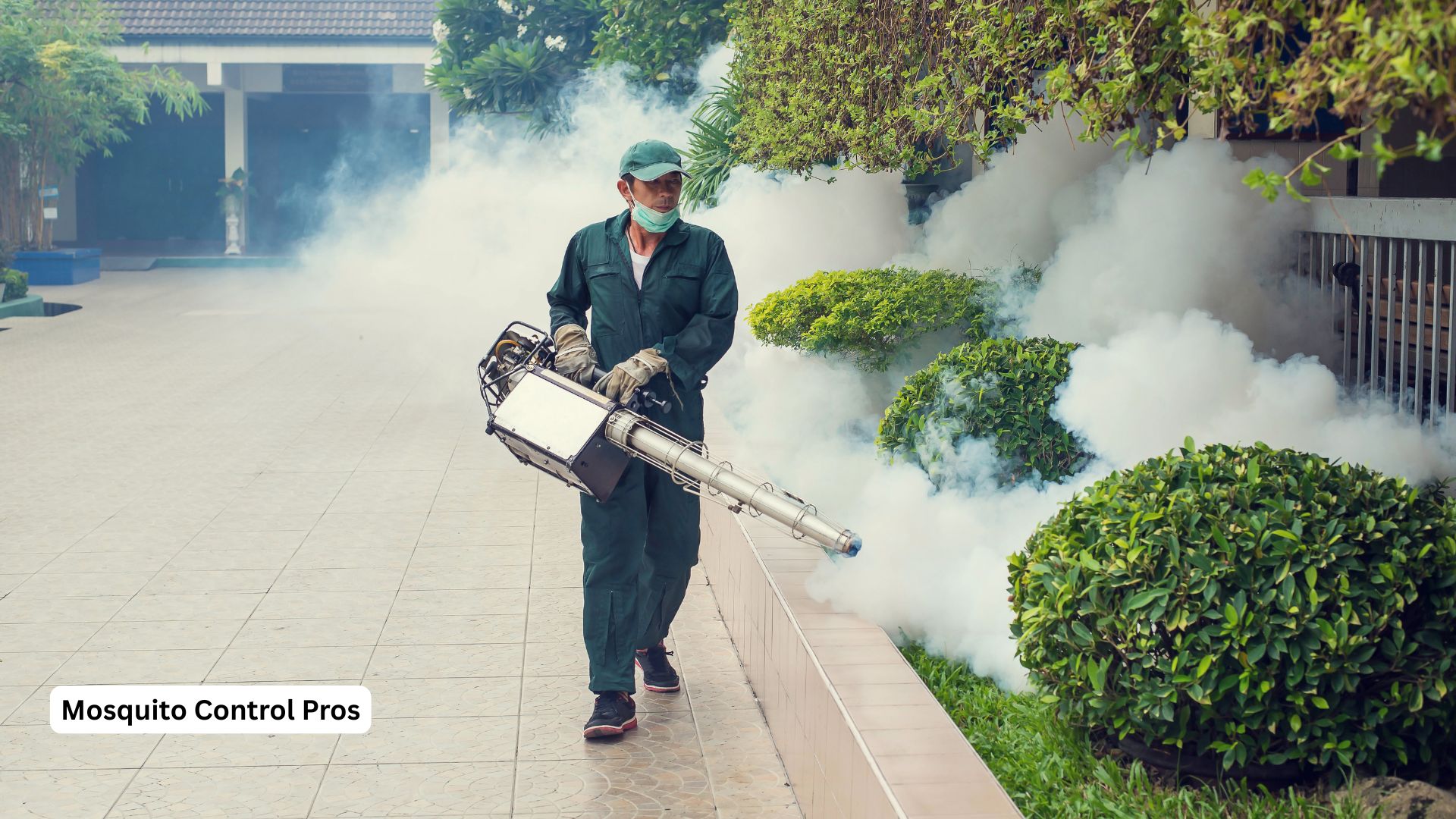 Comprehensive seasonal mosquito control programs
