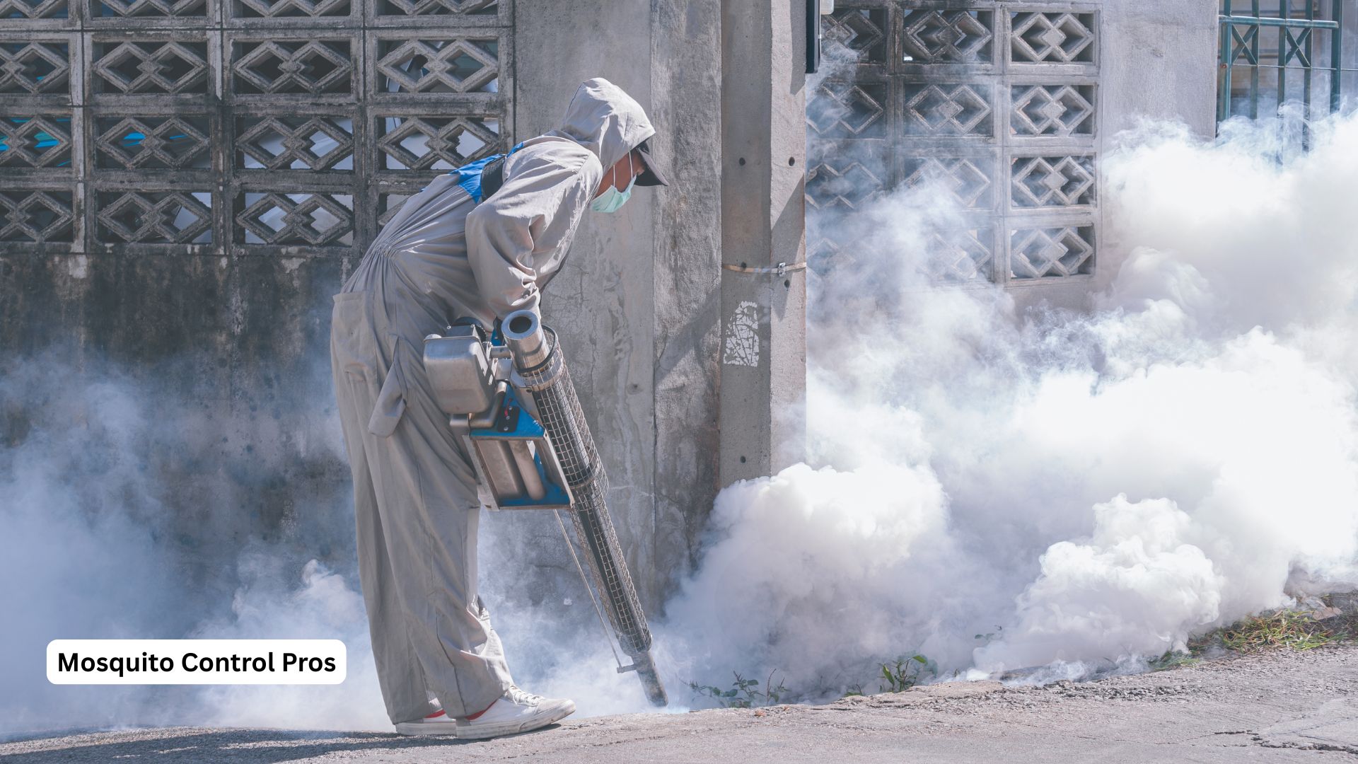 Mosquito fogging treatment for immediate relief