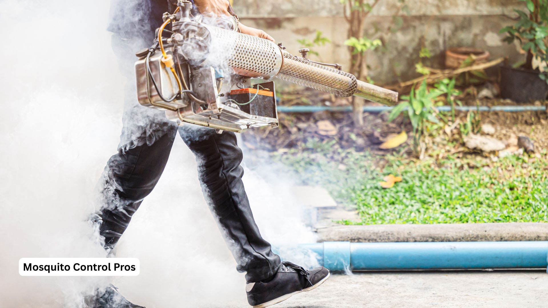 Professional mosquito control treatment in Crestview